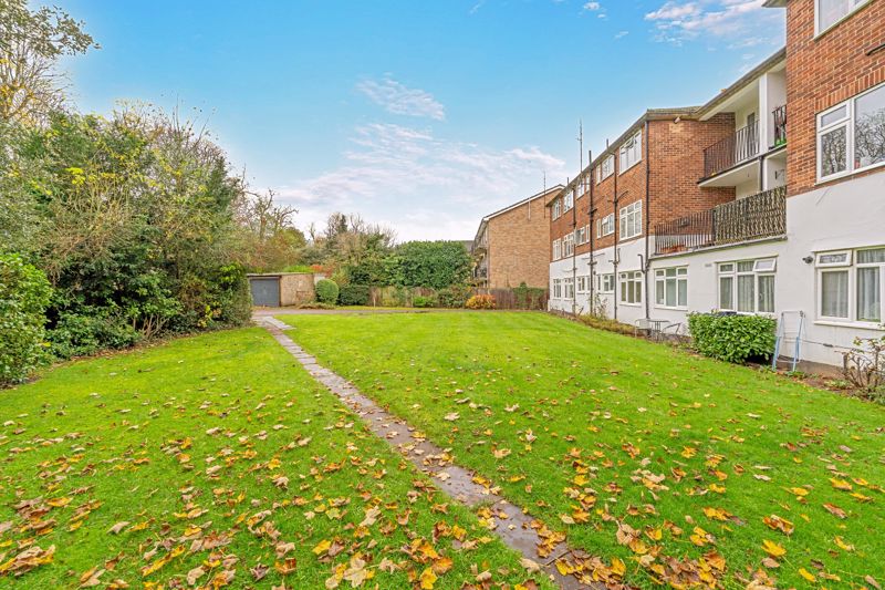 Communal Garden- click for photo gallery
